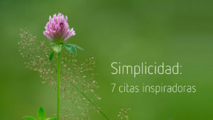 Simplicidad: 7 citas inspiradoras