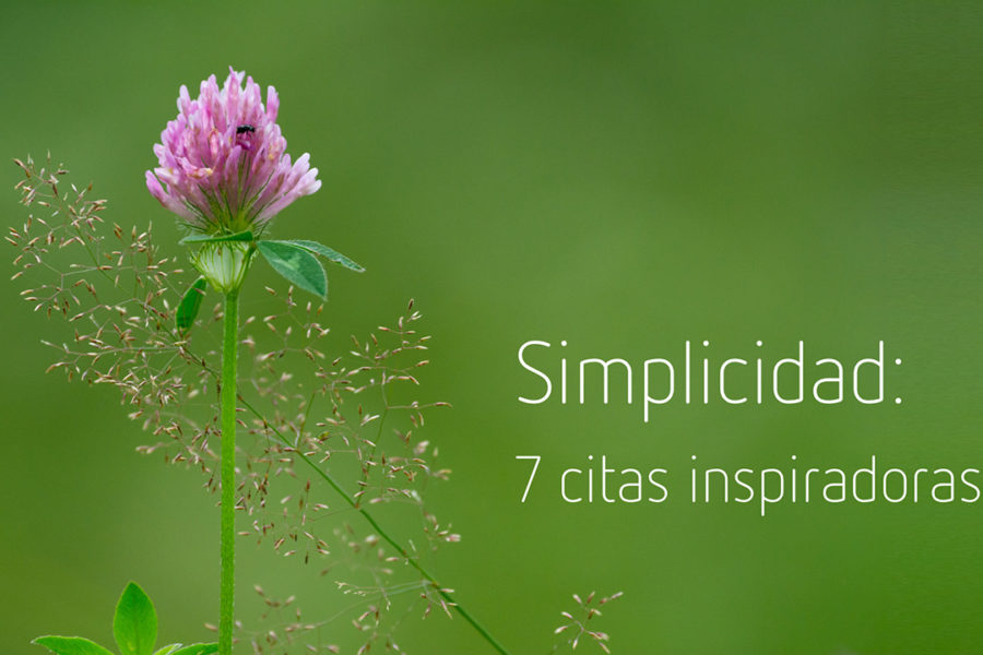 Simplicidad: 7 citas inspiradoras